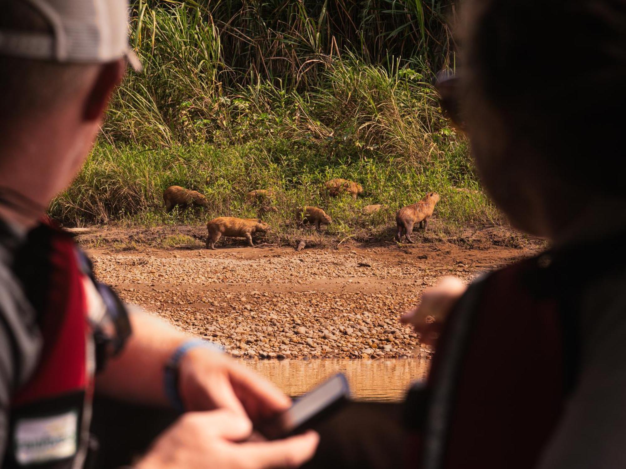 Refugio Amazonas Lodge Tambopata Εξωτερικό φωτογραφία